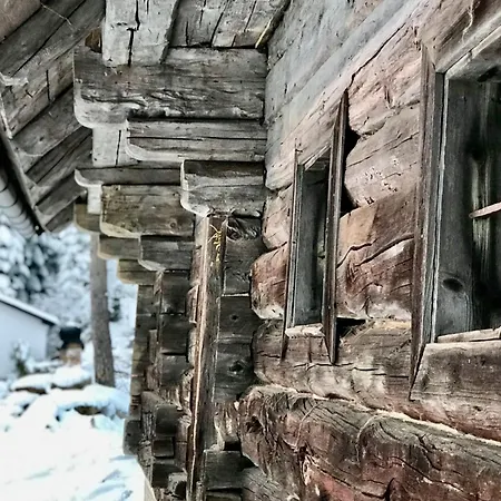 Bergspektive - Haus Alpenspa Шале Rieding